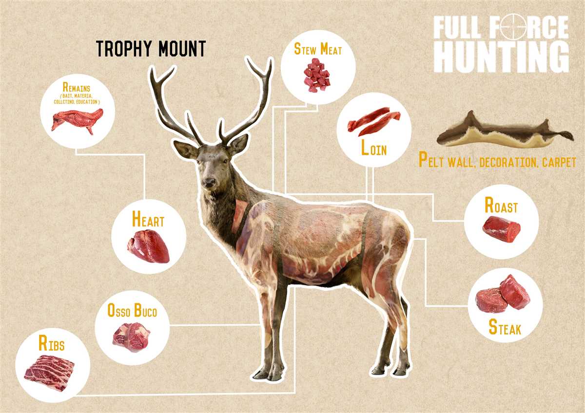 Step By Step Guide To Processing Deer Meat