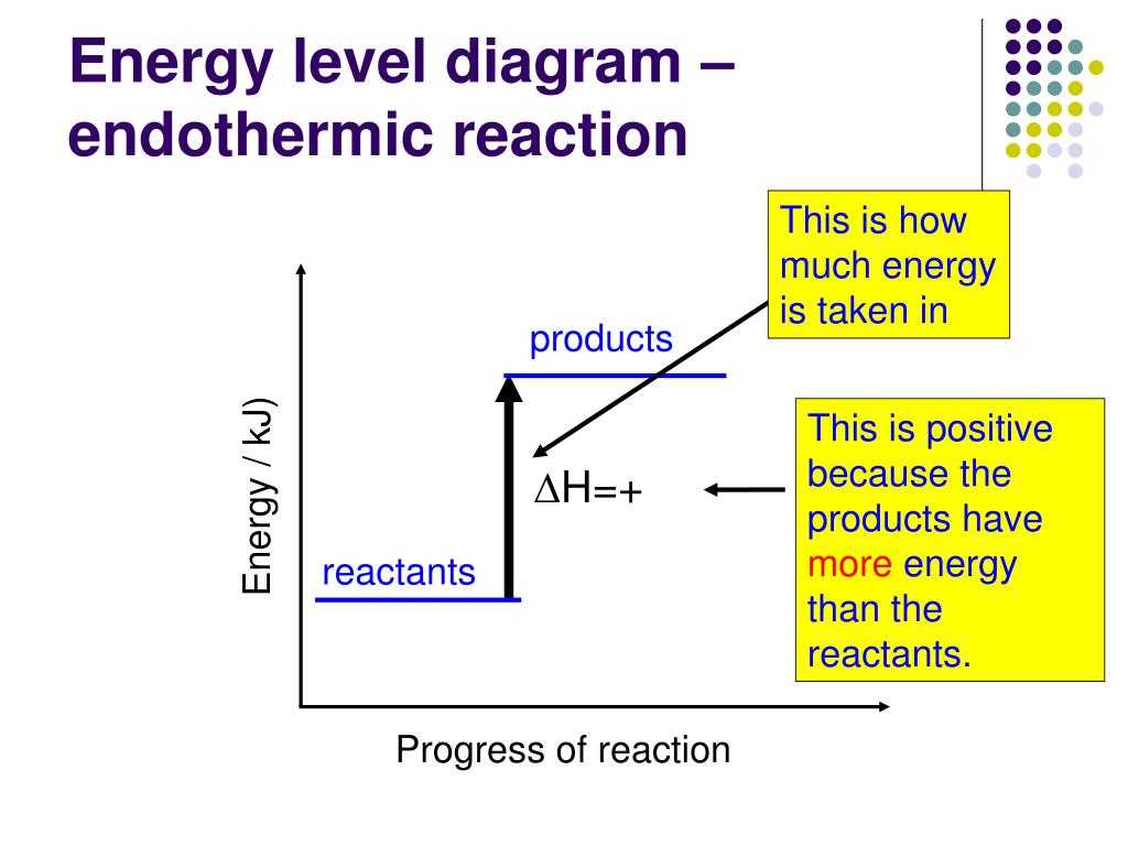 Anatomy Of An Endothermic Reaction Visualizing The Energy Diagram